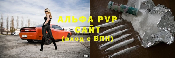 шишки Дмитриев