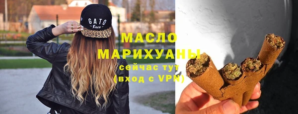 дживик Няндома