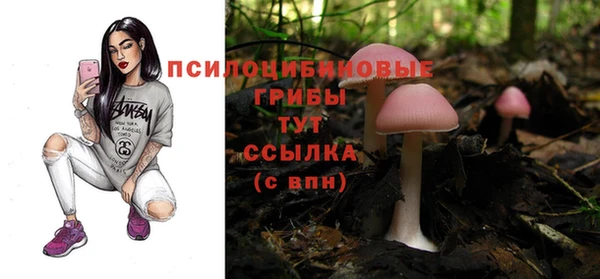 дживик Няндома