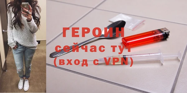 дживик Няндома