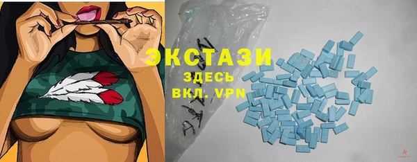 дживик Няндома