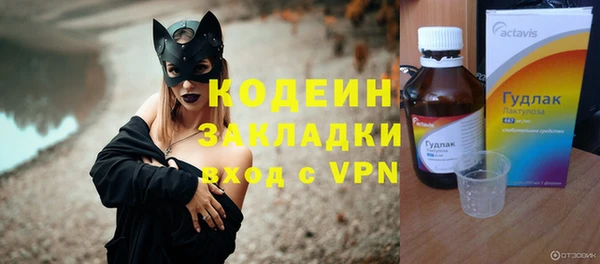дживик Няндома