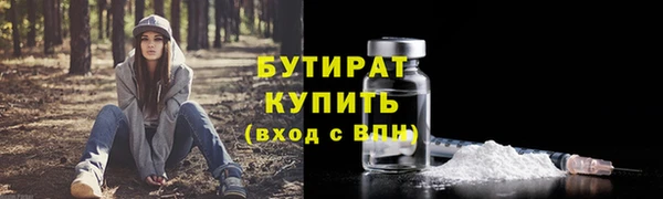 дживик Няндома
