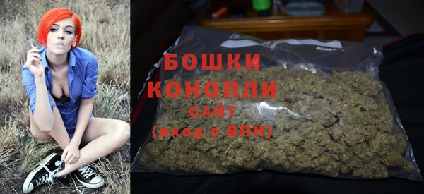 эйфоретик Осинники