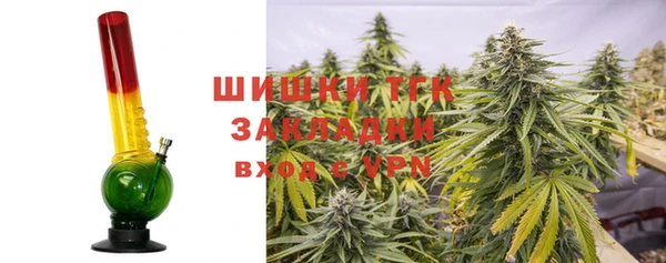 эйфоретик Осинники