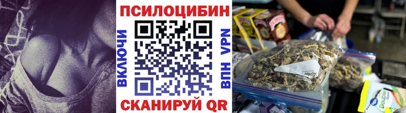 KRAKEN ссылка Мирный Галлюциногенные грибы Psilocybine cubensis