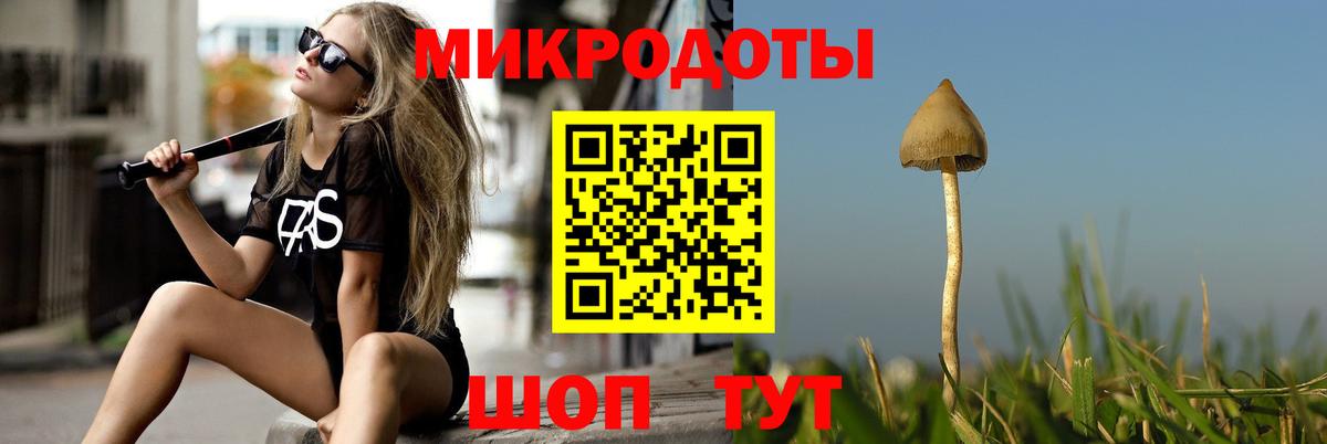 Псилоцибиновые грибы Psilocybe  Псилоцибиновые грибы прущие грибы  что такое   Мирный  Вход с VPN 