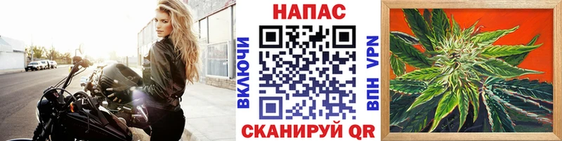 магазин  наркотиков  Мирный  darknet какой сайт  Шишки марихуана Ganja 